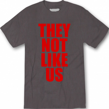 Load image into Gallery viewer, They Not Like Us T shirt New Kendrick
